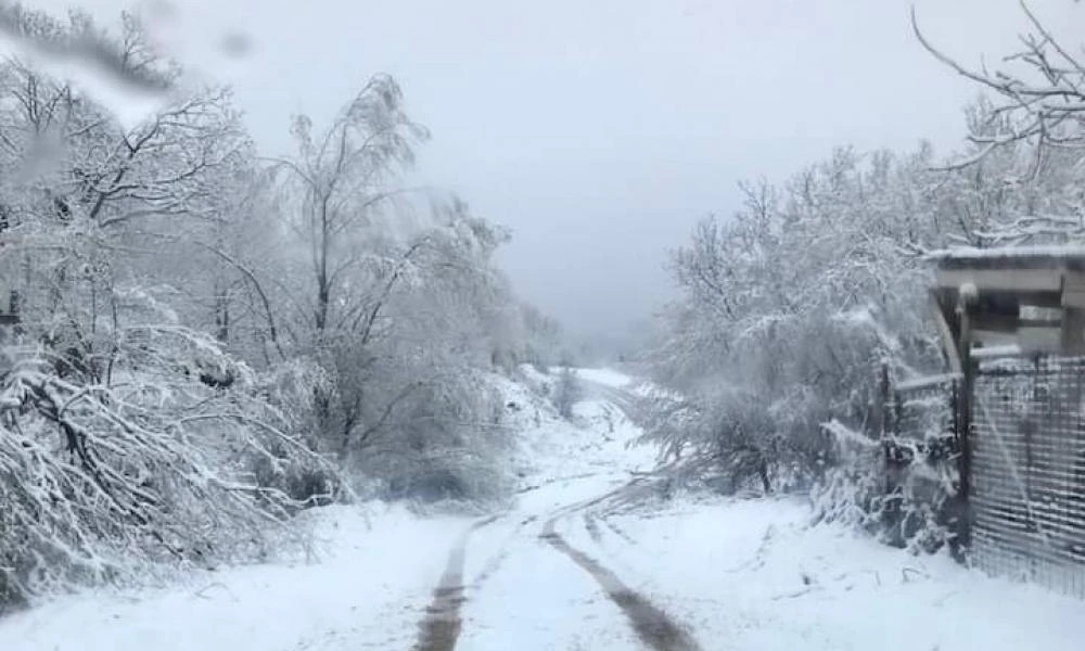 Σερβία: Σφοδρός χιονιάς βασανίζει την χώρα - 10.000 σπίτια χωρίς ρεύμα (βίντεο)